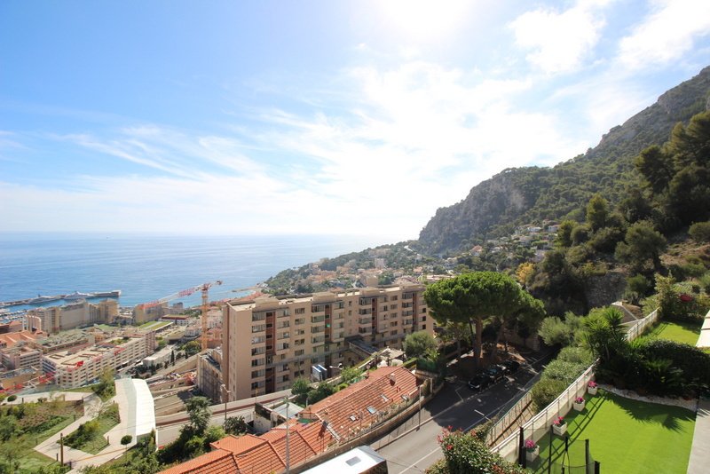Apartment in Cap-d'Ail, Provence-Alpes-Côte d'Azur, France 1 - 16409321