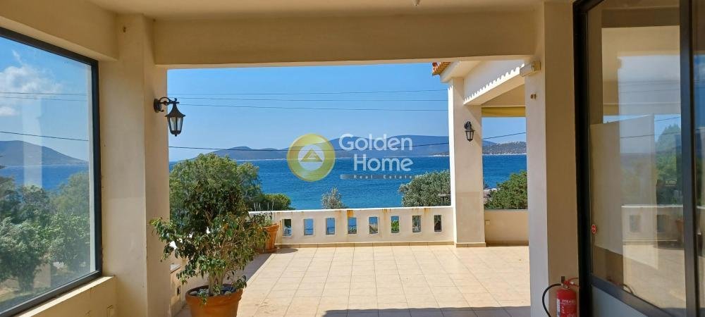 Land in Euboea, Thessaly and Central Greece, Greece 4 - 16409919