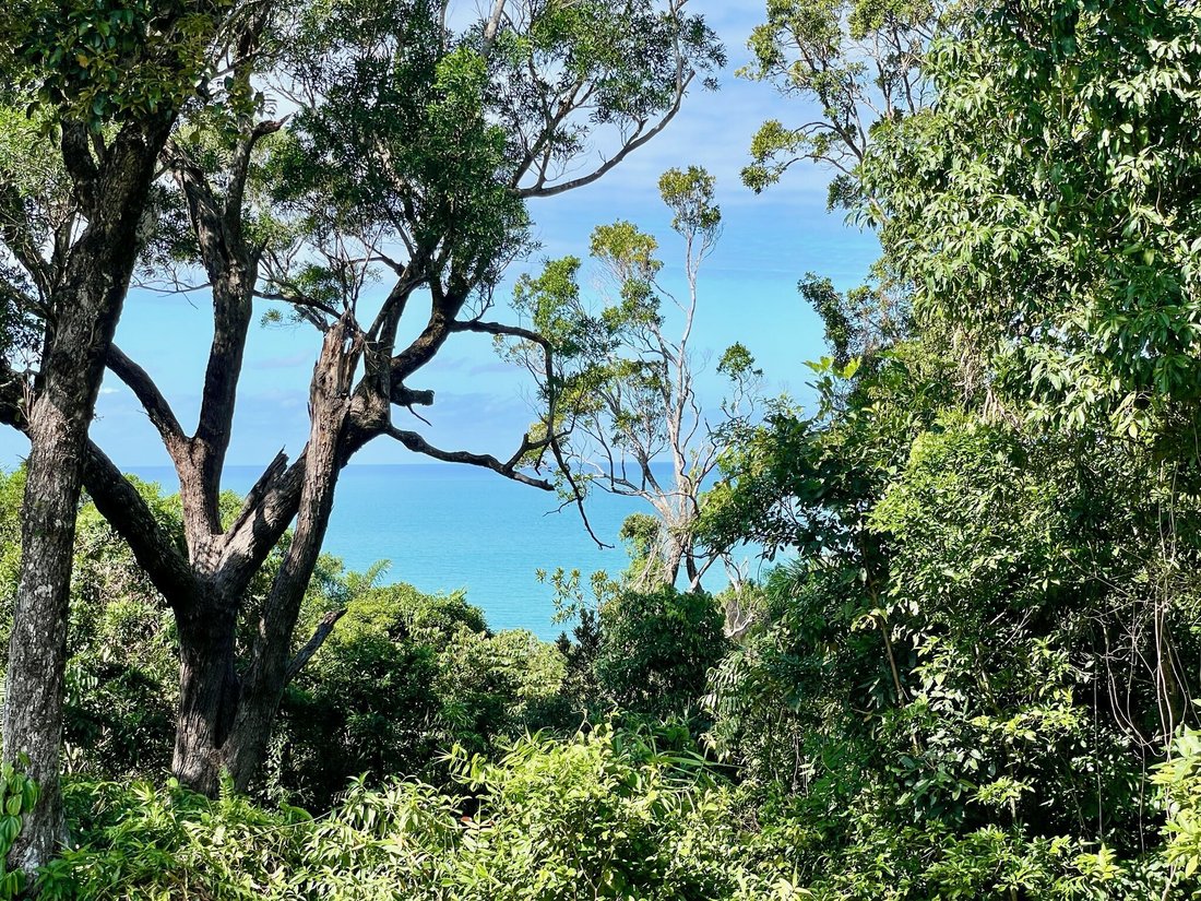 House in Cow Bay, Queensland, Australia 2 - 16413289