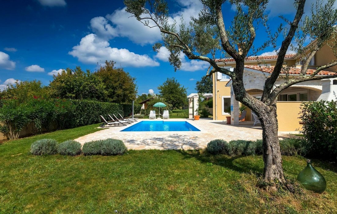 Villa in Sveti Lovrec Pazenaticki, Istria County, Croatia 3 - 16411993