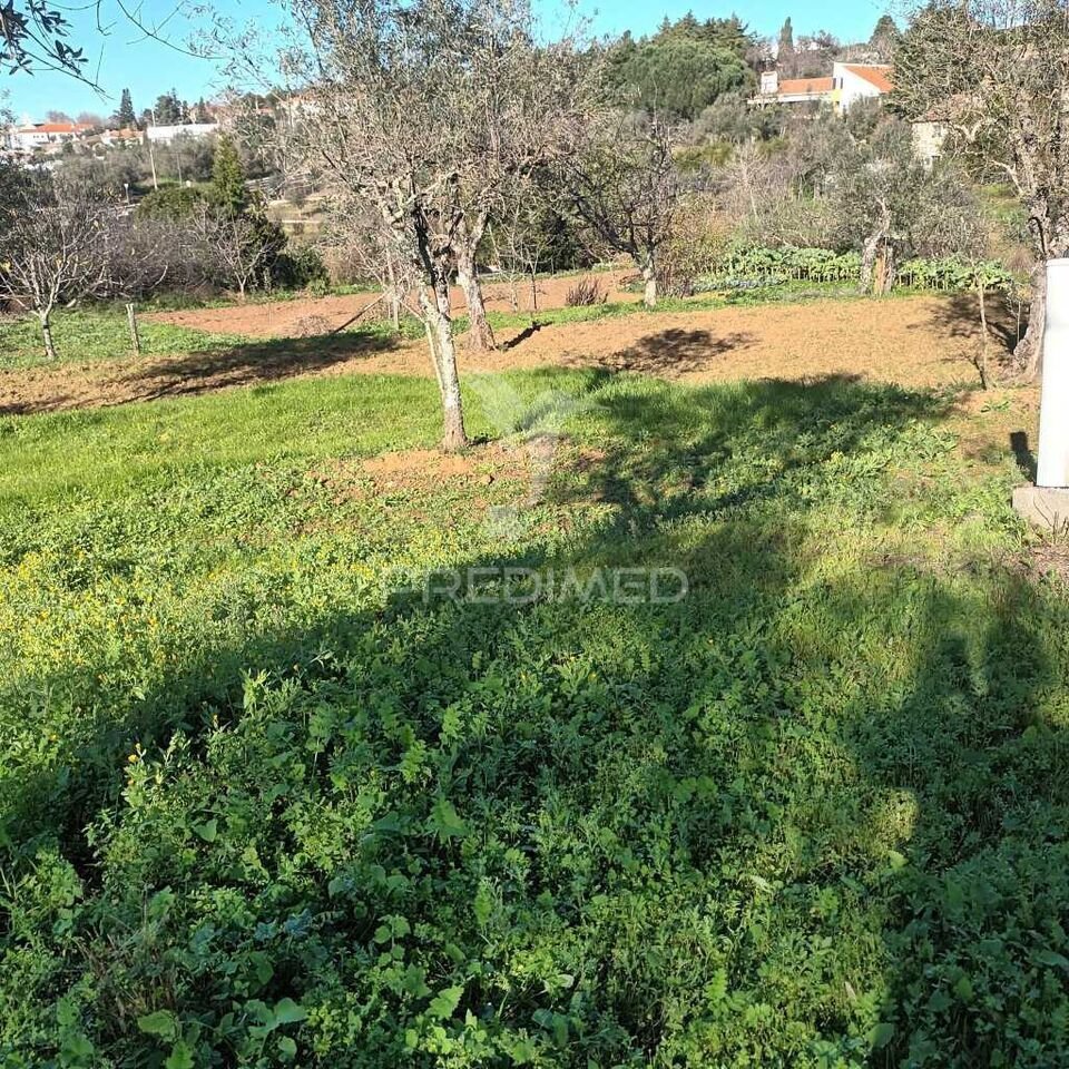 Farm Ranch in Santa Maria da Devesa, Portalegre District, Portugal 2 - 16413596