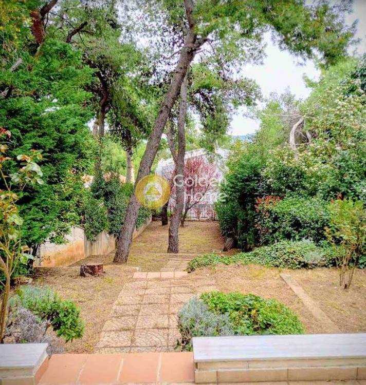 House in Dionysos, Attica, Greece 1 - 16410050