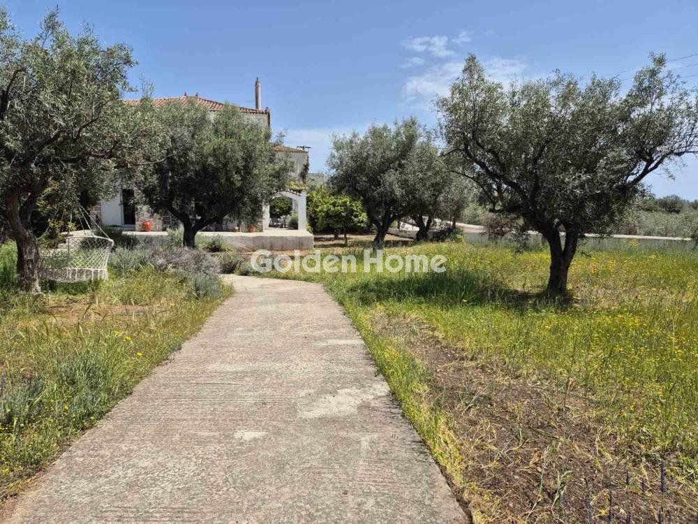 Land in Spetses, Attica, Greece 4 - 16410090