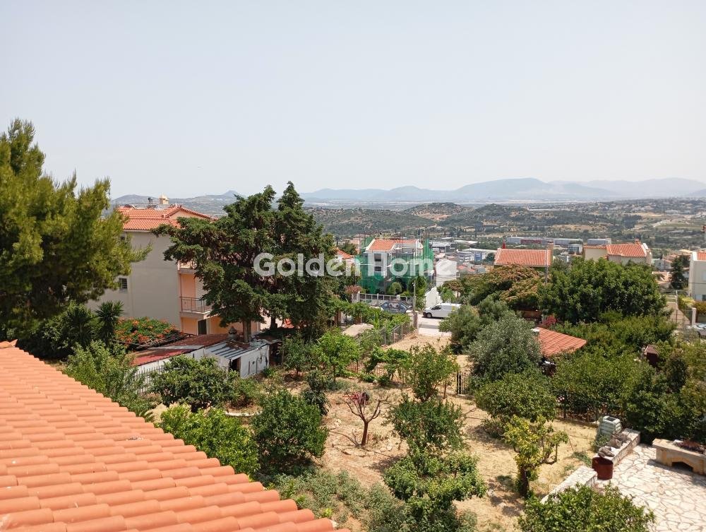 House in Pallini, Attica, Greece 1 - 16410362