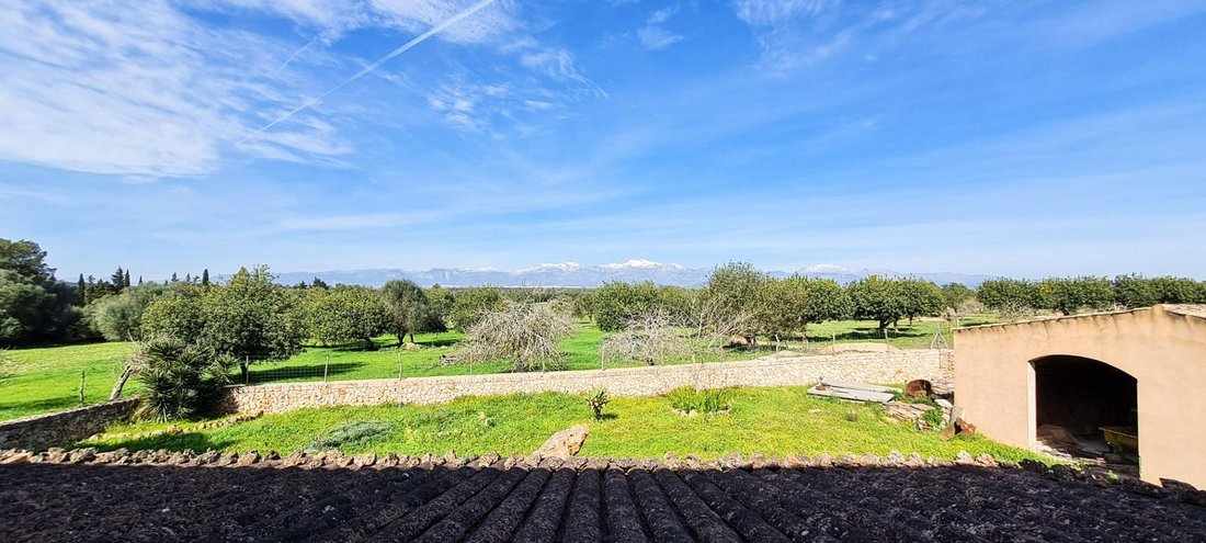 Country House in Sineu, Balearic Islands, Spain 5 - 16410878