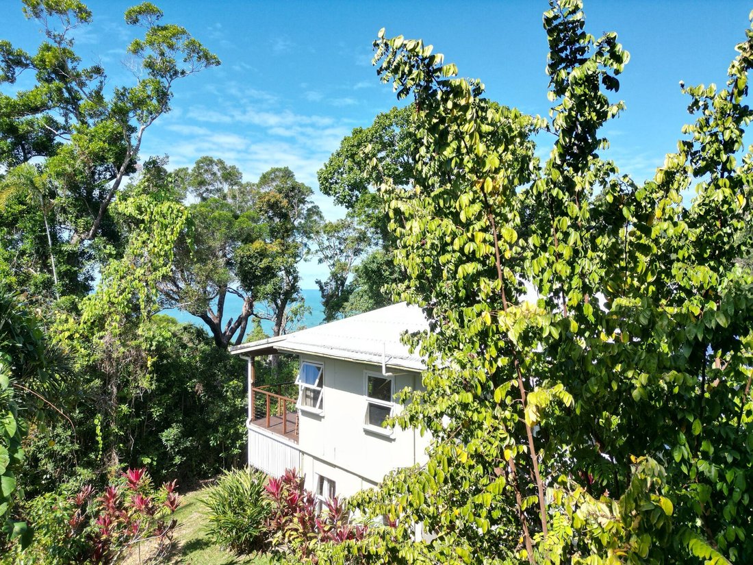 House in Cow Bay, Queensland, Australia 1 - 16413289