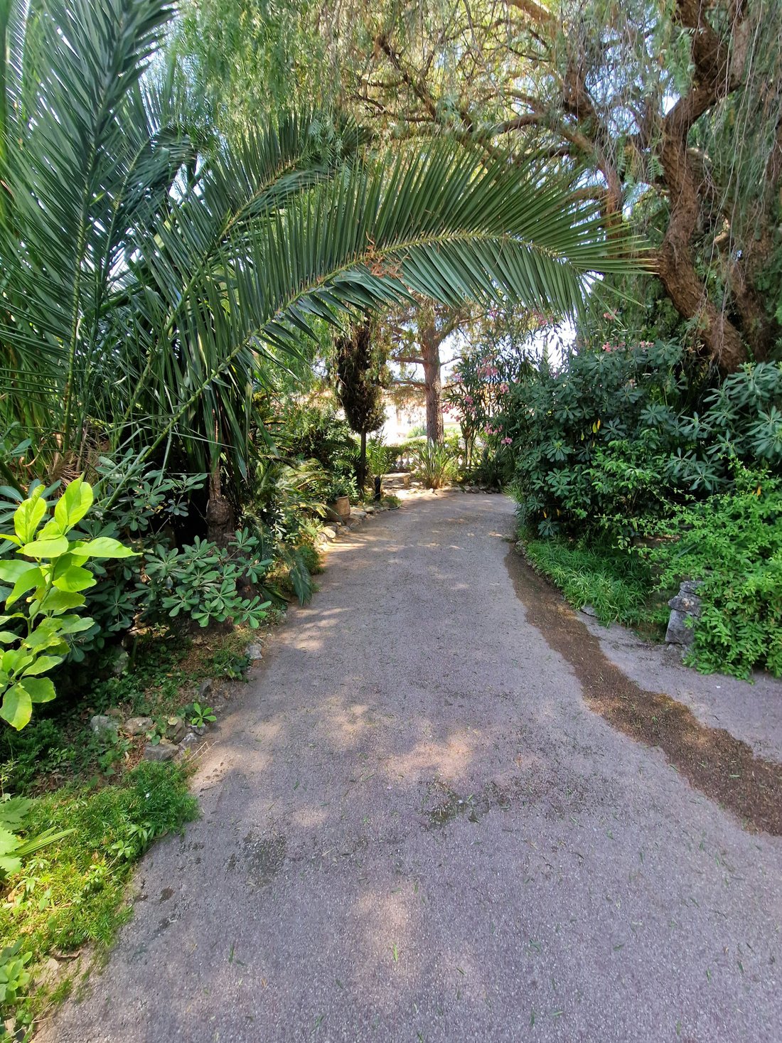 House in Menton, Provence-Alpes-Côte d'Azur, France 4 - 16409067