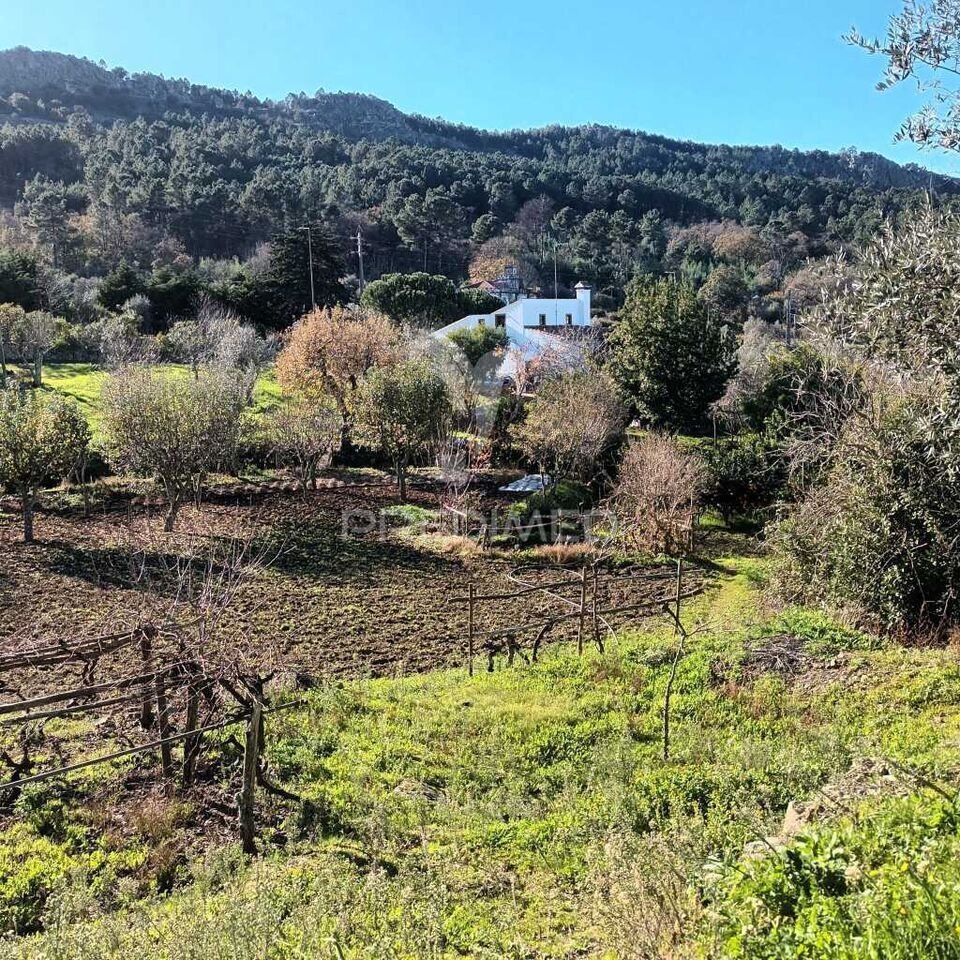 Farm Ranch in Santa Maria da Devesa, Portalegre District, Portugal 1 - 16413596
