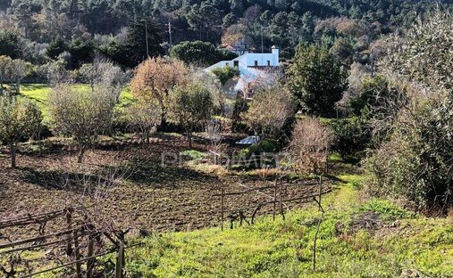 Rancho en Santa Maria da Devesa, Distrito de Portalegre, Portugal 1