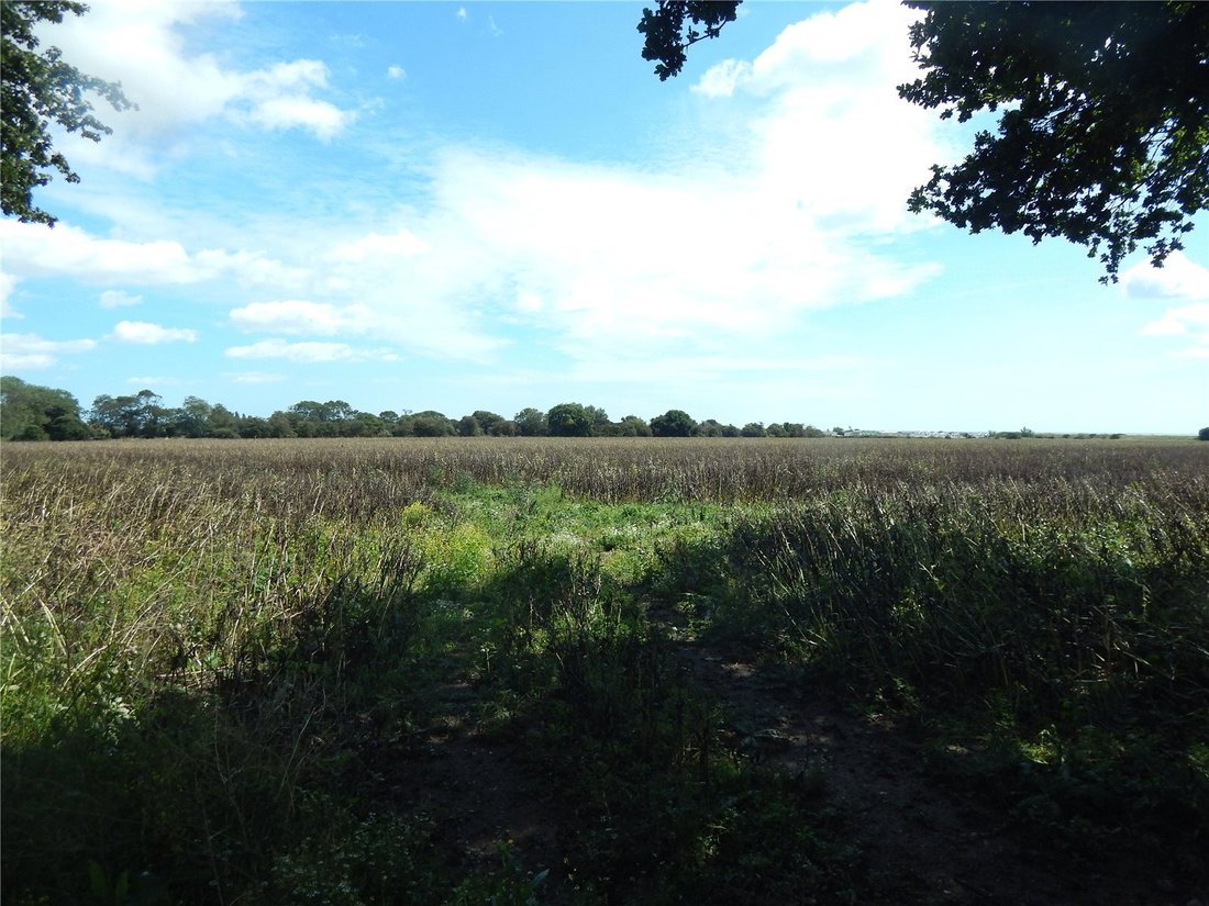 Estate in Dovercourt, Harwich, England 1 - 16410876