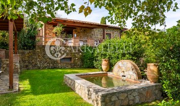 Villa in Scansano, Tuscany, Italy 1
