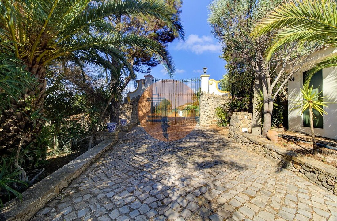 House in Estoi, Algarve, Portugal 5 - 16413565