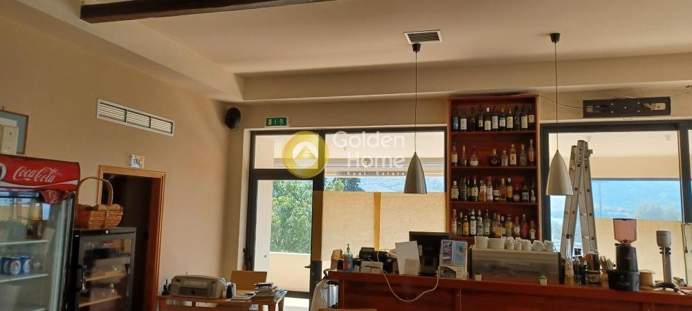 Land in Euboea, Thessaly and Central Greece, Greece 2 - 16409919