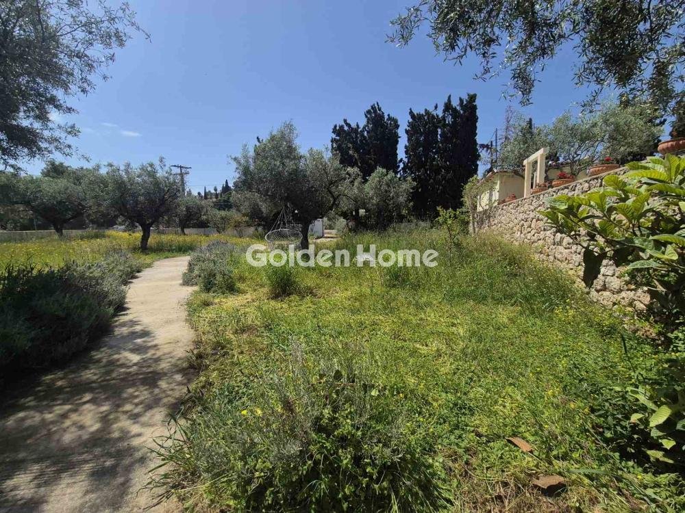 Land in Spetses, Attica, Greece 2 - 16410090