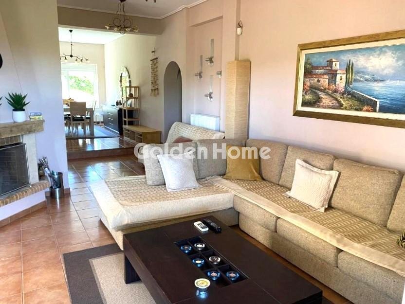 House in Palea Fokea, Attica, Greece 5 - 16410412