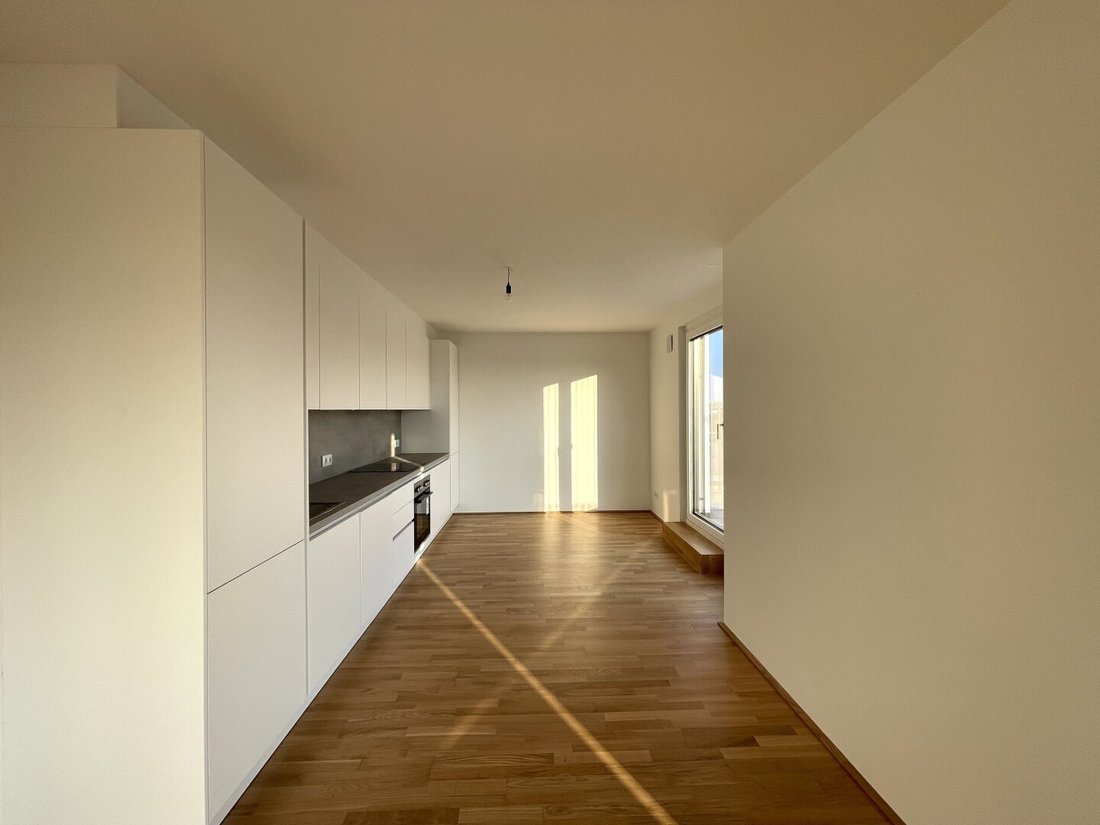Penthouse in Vienna, Wien, Austria 3 - 16455959