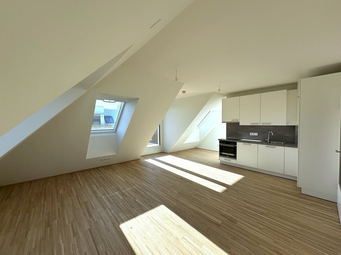 Penthouse in Vienna, Wien, Austria 1 - 16455388