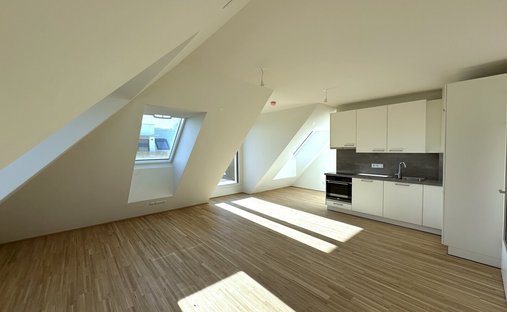 Penthouse in Vienna, Wien, Austria 1
