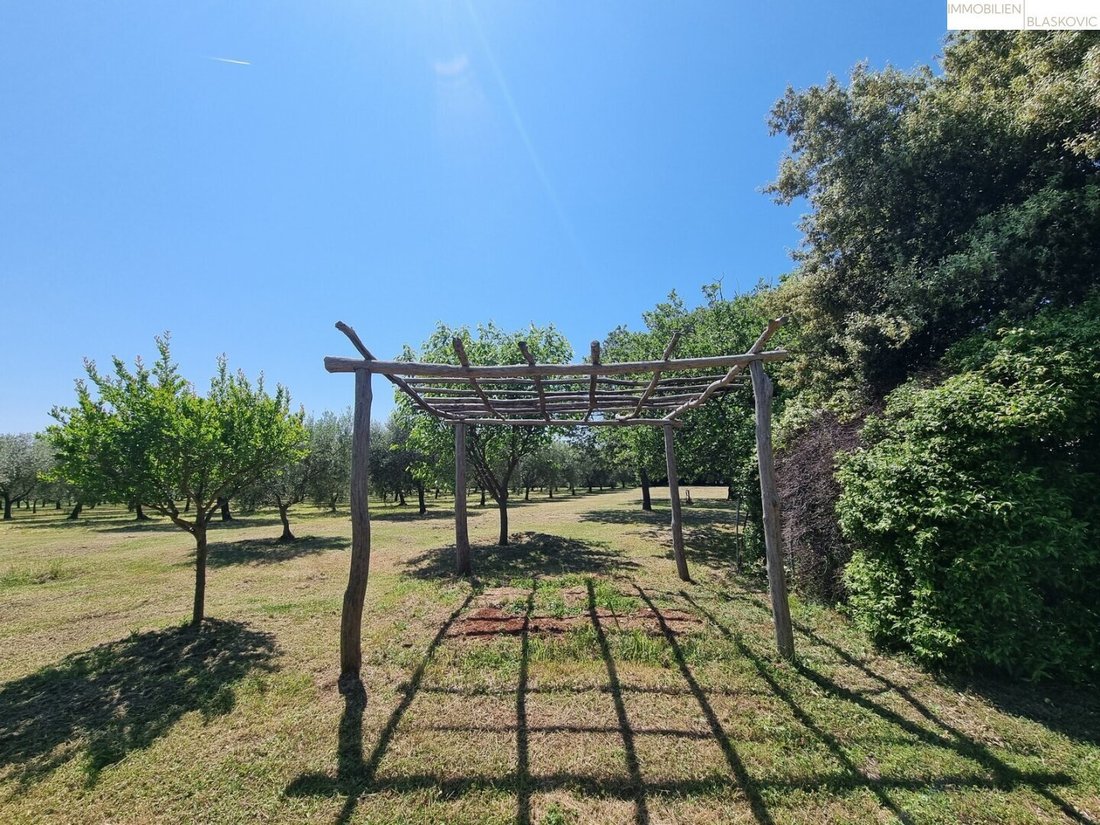 House in Musalez, Istria County, Croatia 4 - 16422849