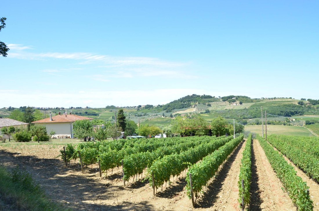 Farm Ranch in Fornacette - Lucardo - San Pancrazio, Montespertoli, Tuscany 2 - 16459433