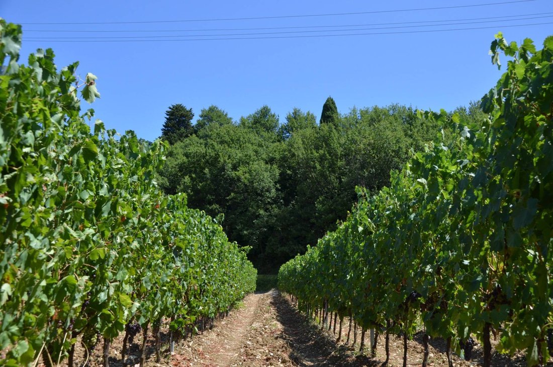 Farm Ranch in Fornacette - Lucardo - San Pancrazio, Montespertoli, Tuscany 1 - 16459433