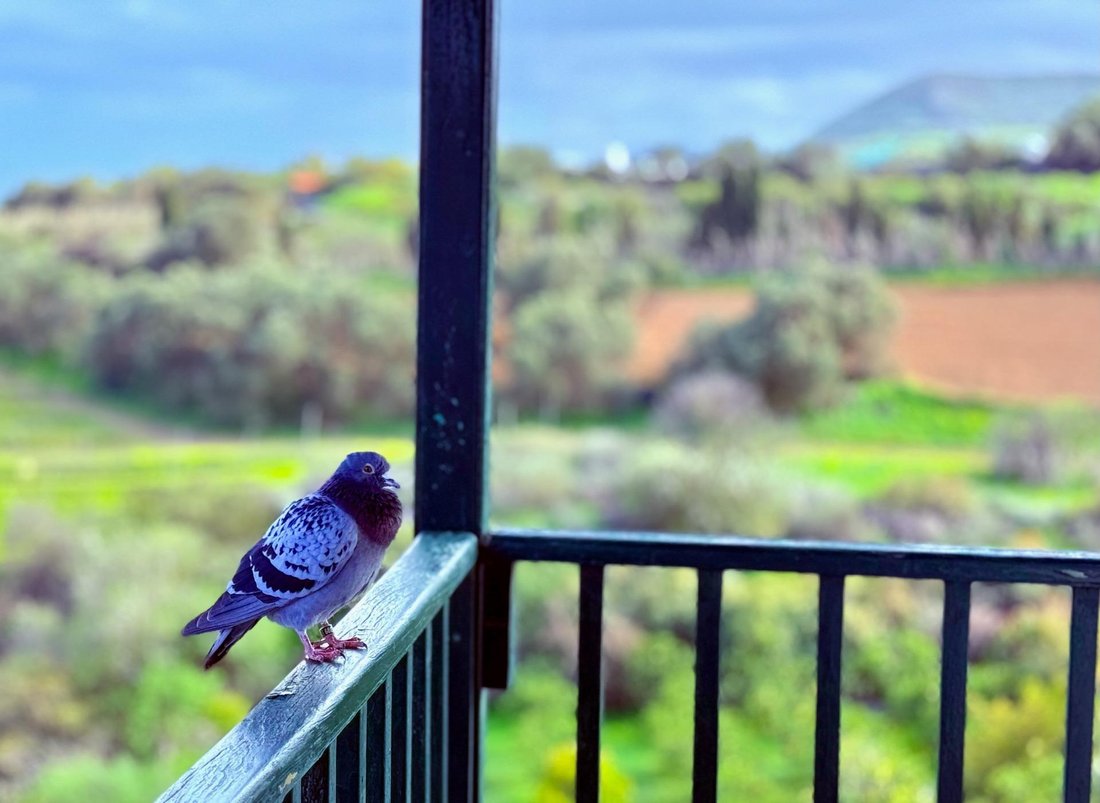 Estate in Telde, Canary Islands, Spain 4 - 16417075