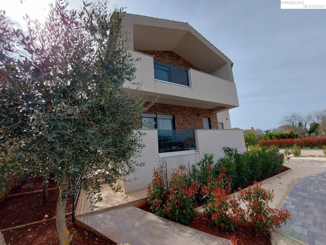 Villa in Marcana, Istria County, Croatia 2 - 16423445