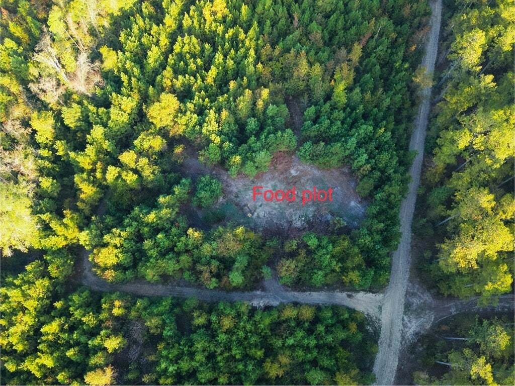 Land in Abbeville, Georgia, United States 3 - 16459630
