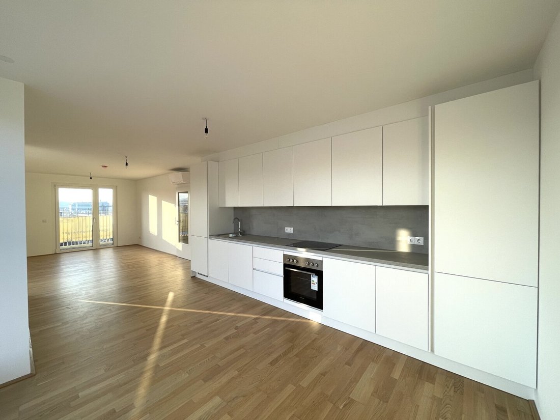 Penthouse in Vienna, Wien, Austria 5 - 16455959
