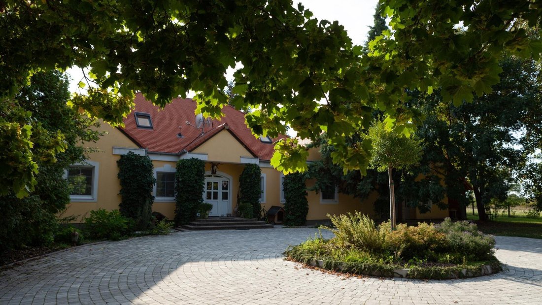 House in Hegykő, Hungary 3 - 16446321