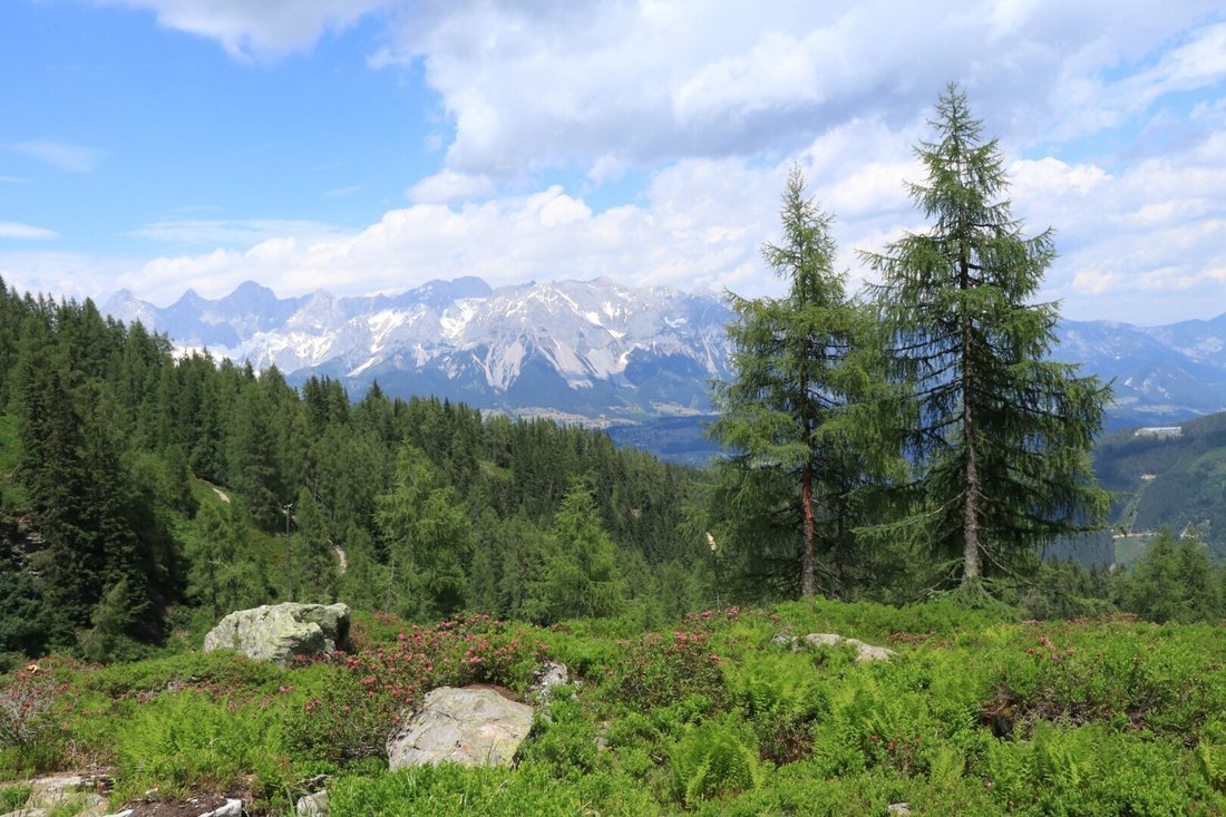 Apartment in Schladming, Styria, Austria 1 - 16449740