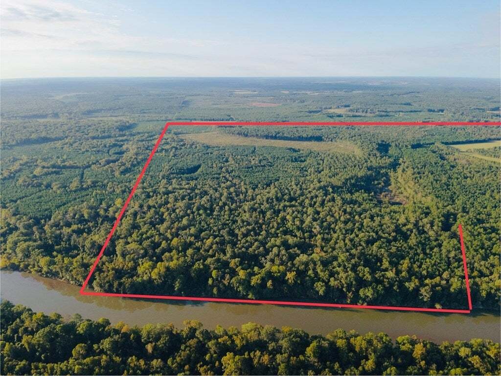 Land in Abbeville, Georgia, United States 2 - 16459630
