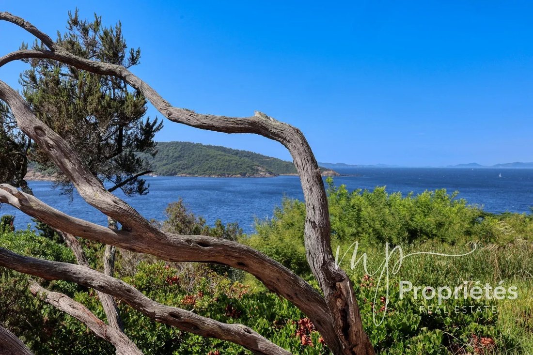 House in French Riviera, Provence-Alpes-Côte d'Azur, France 4 - 16417051