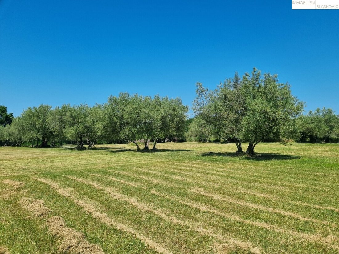 House in Musalez, Istria County, Croatia 3 - 16422849