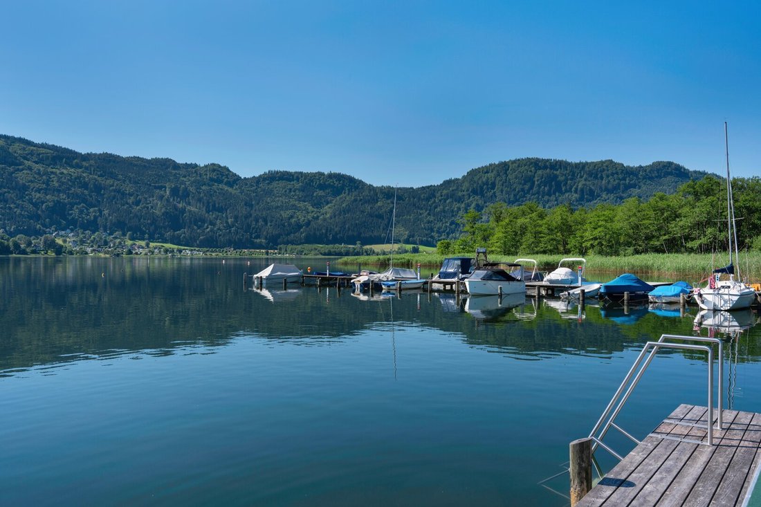 Apartment in Bodensdorf, Carinthia, Austria 1 - 16439488