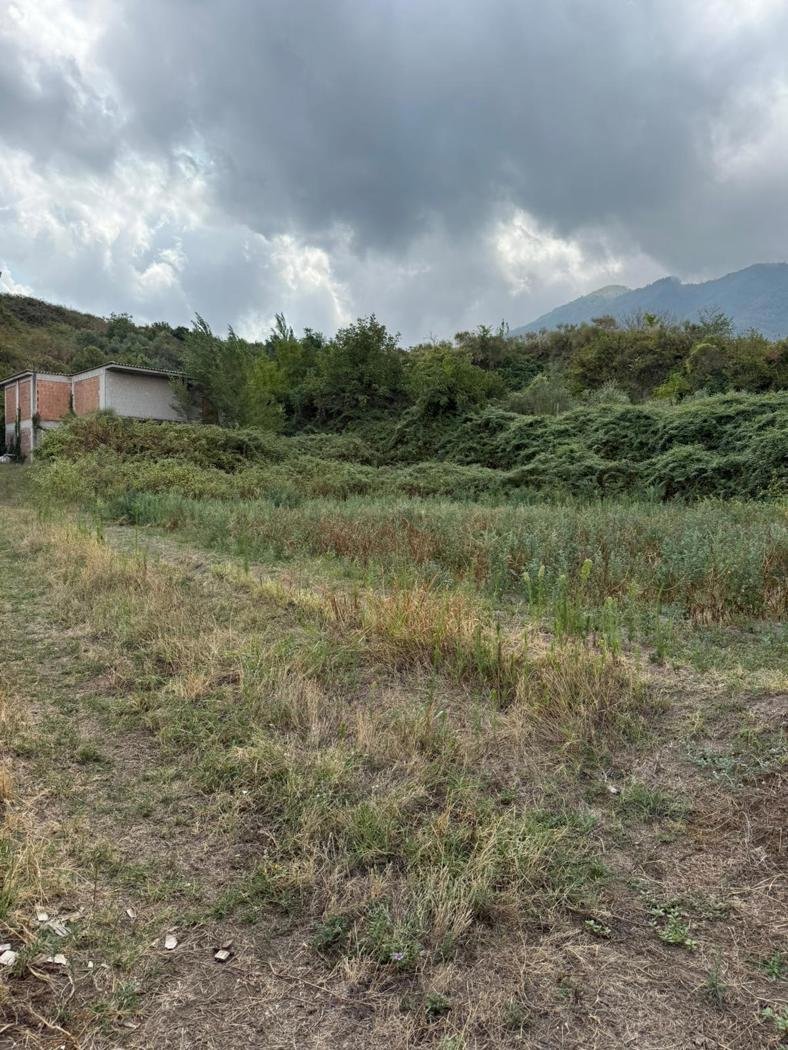 House in Somma Vesuviana, Campania, Italy 2 - 16456966