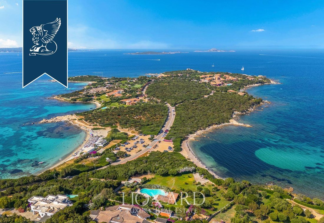 Villa à Porto Rotondo, Olbia, Sardaigne 5 - 16417783
