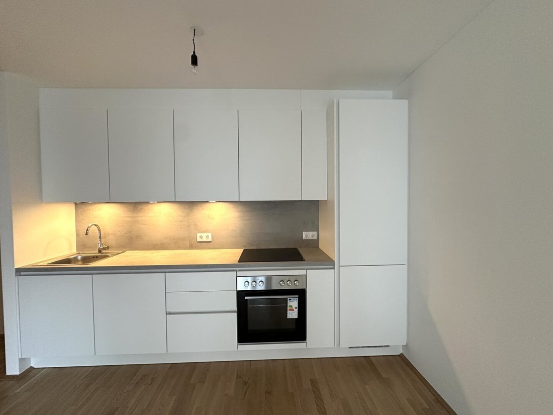 Apartment in Vienna, Wien, Austria 5 - 16455715