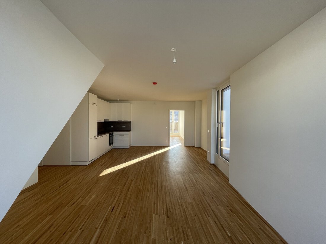 Penthouse in Vienna, Wien, Austria 5 - 16455220