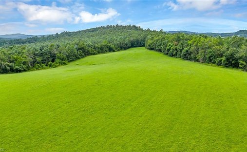 Land in Ennice, North Carolina, United States 1
