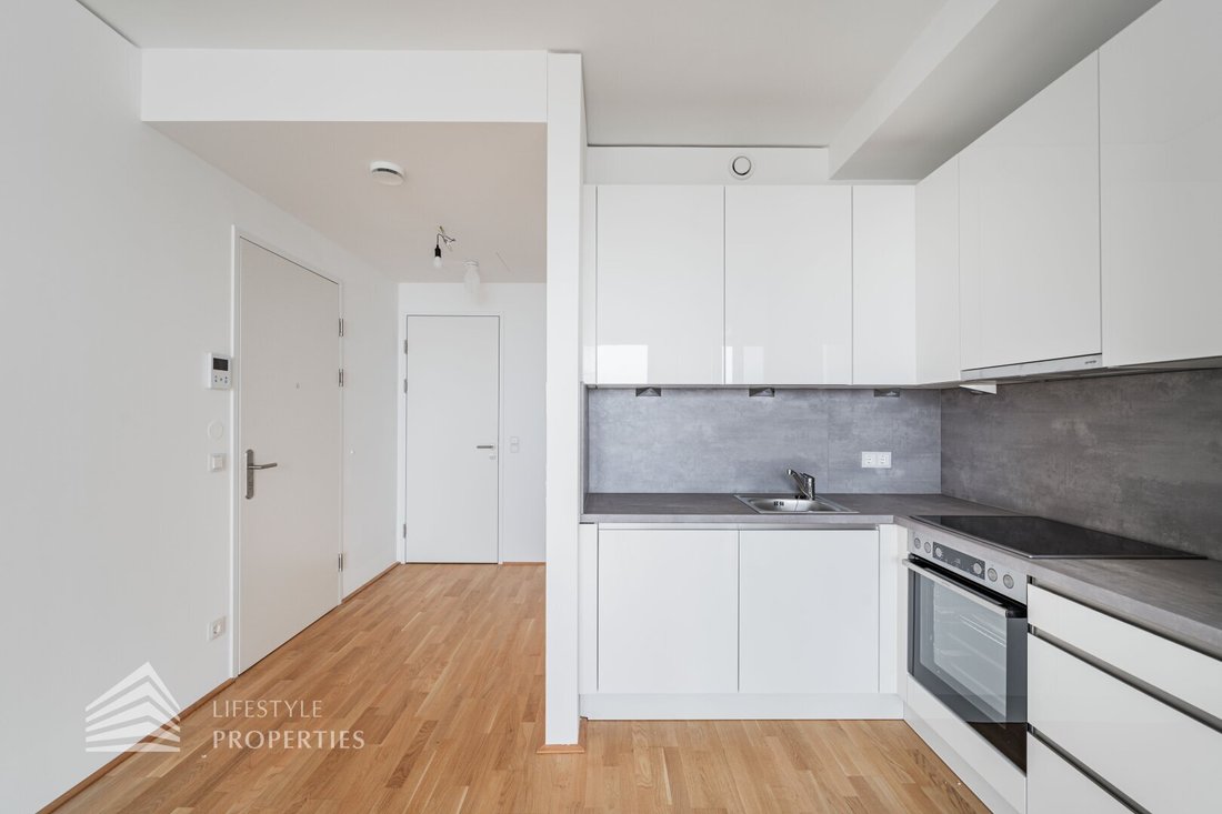 Apartment in Vienna, Wien, Austria 2 - 16436773