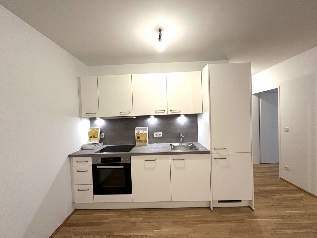 Apartment in Vienna, Wien, Austria 5 - 16455806