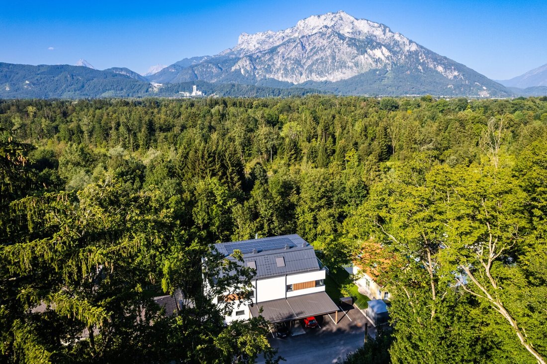 Penthouse in Elsbethen, Salzburg, Austria 4 - 16450552