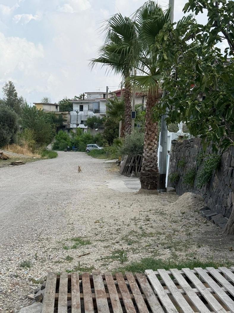 House in Somma Vesuviana, Campania, Italy 4 - 16456966