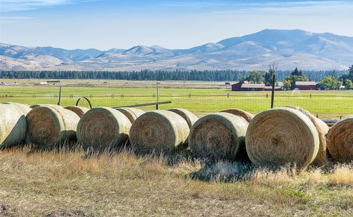 Terreno a Firenze, Montana, Stati Uniti 1