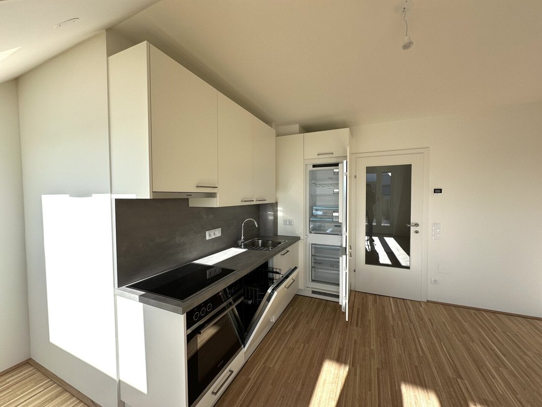 Penthouse in Vienna, Wien, Austria 5 - 16455388