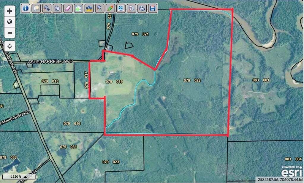 Land in Abbeville, Georgia, United States 4 - 16459630