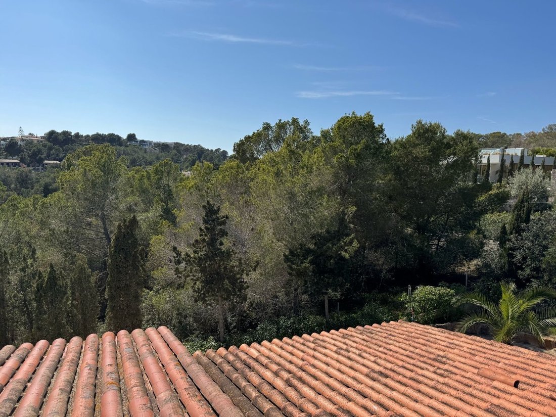 Villa in Balearic Islands, Spain 5 - 16416074