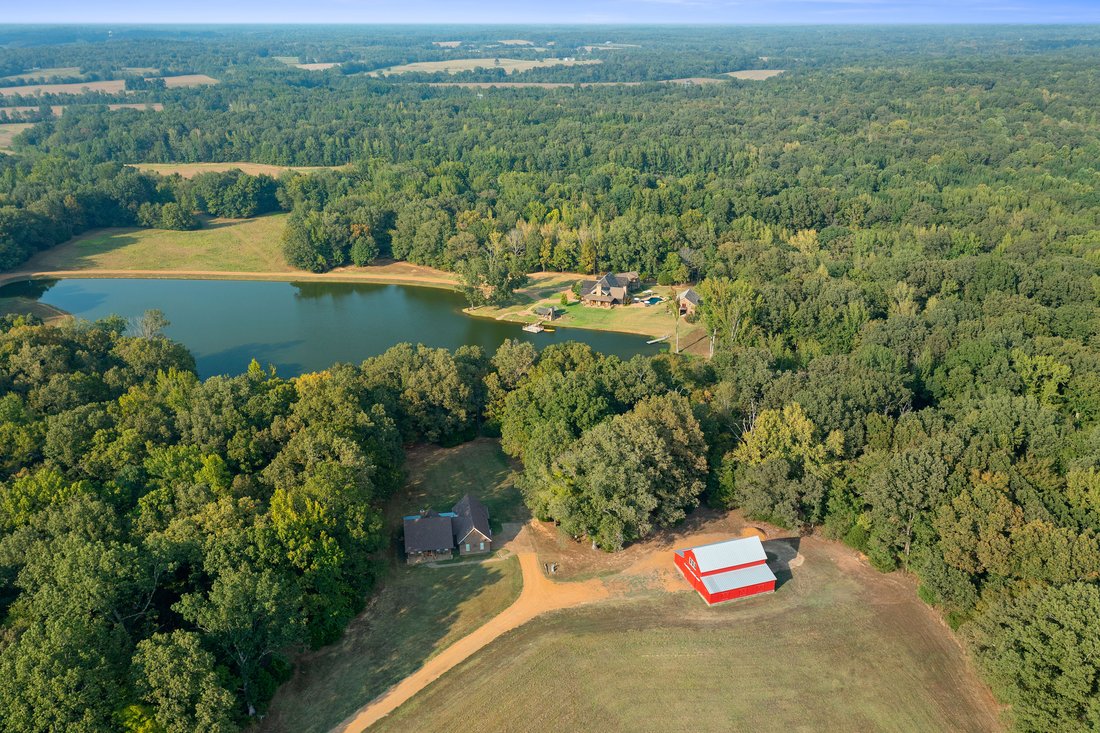 Azienda agricola a Williston, Tennessee, Stati Uniti 2 - 16331429