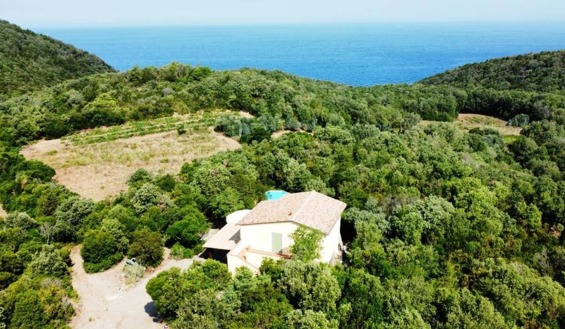 House in Rio nell'Elba, Tuscany, Italy 5 - 16418952